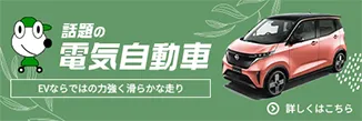 話題の電気自動車